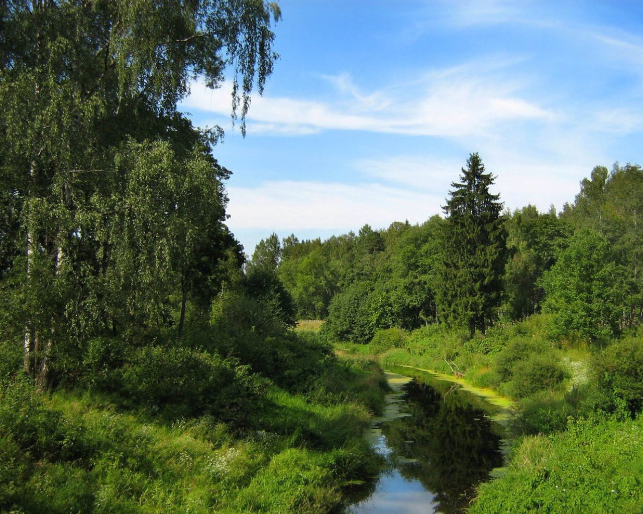 alternativnaya-energetika-otechestvennyij-i-zarubezhnyij-opyit